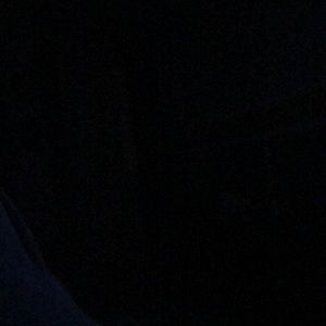 Meet your Posher, Carter